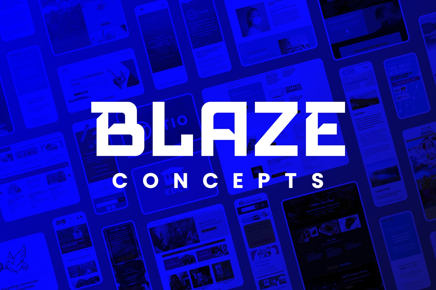 Blaze Concepts - Digital Agency Web Development in Somerset